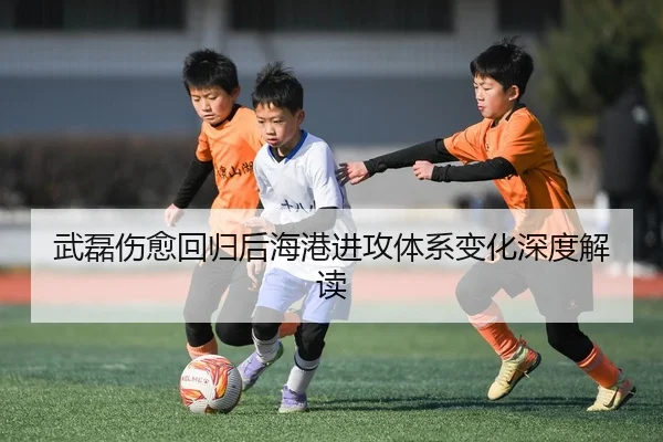 武磊伤愈回归后海港进攻体系变化深度解读